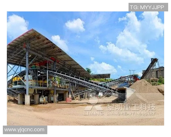 专业解析LNG市场的防御与反击策略探讨