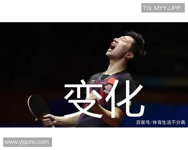 南京排球队战术表现深度解析与大满贯点评